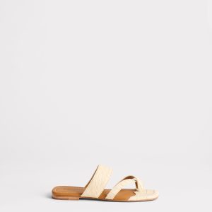 Fiorella :: Bone