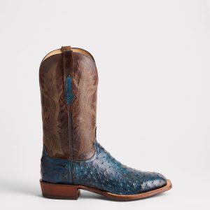Cliff :: Navy + Chocolate