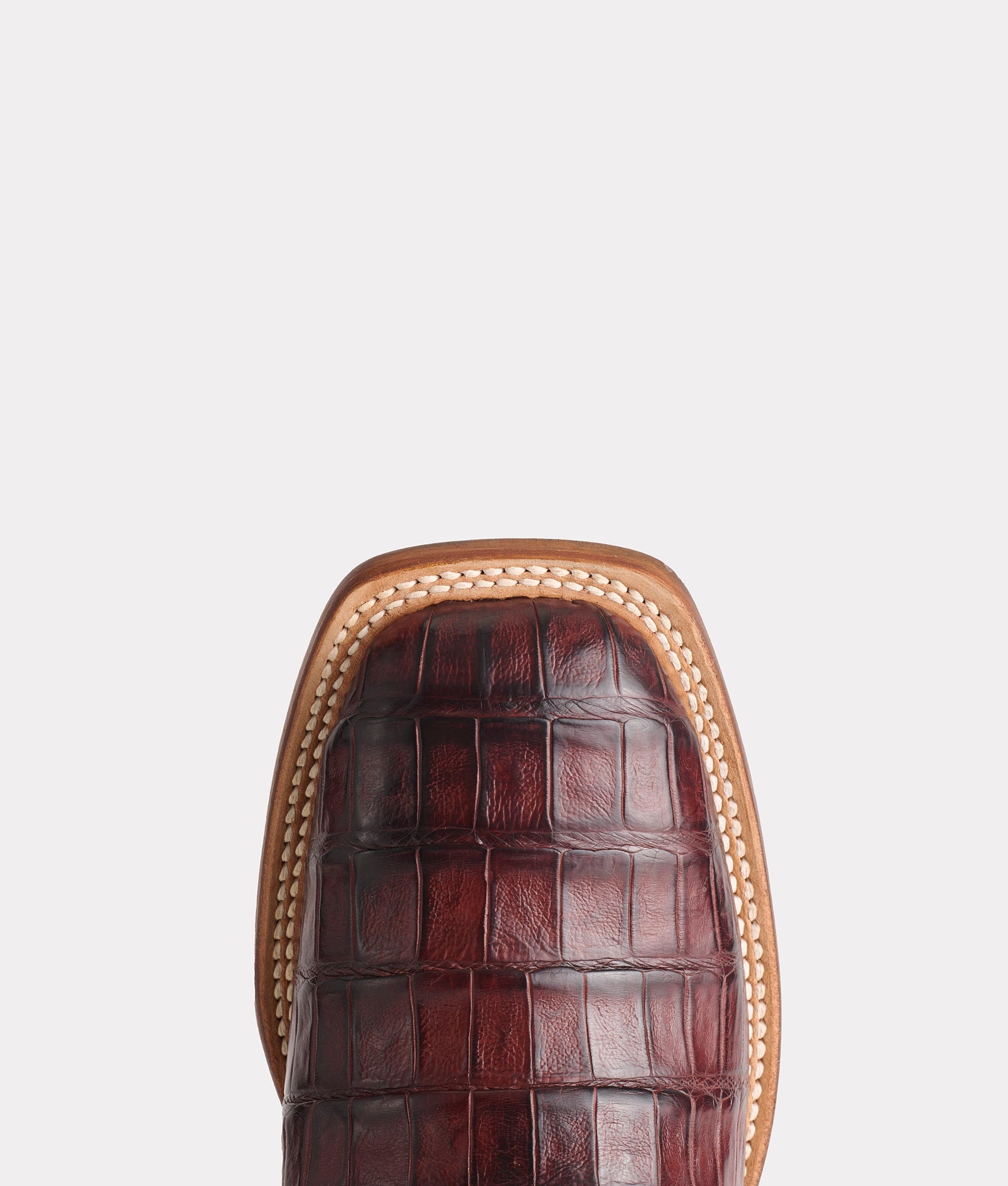 Tulipano Horseman :: Chocolate - Image 7