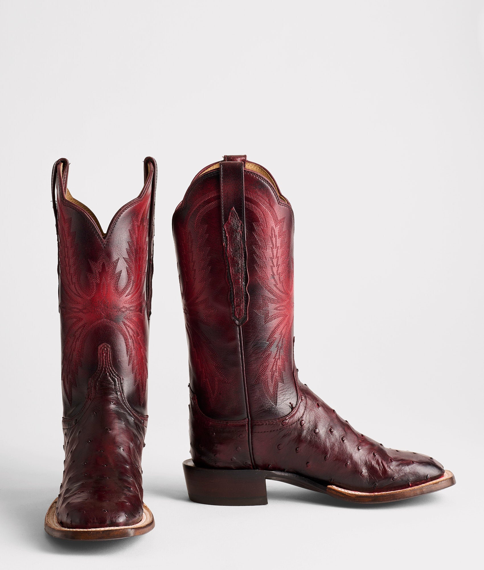 Josephine Horseman :: Antique Black Cherry - Image 2