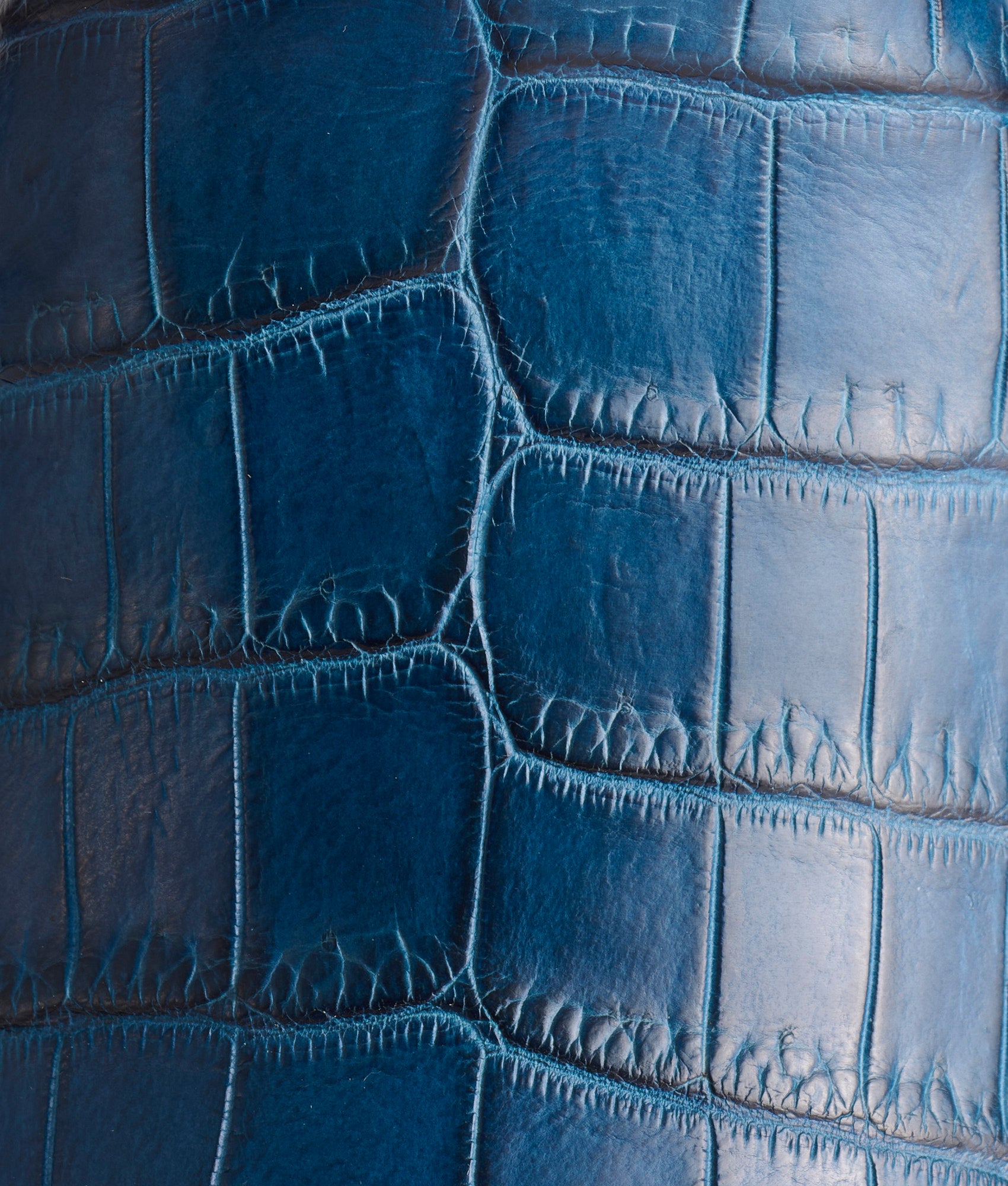 Tulip Exotic :: Navy + Wheat - Image 8