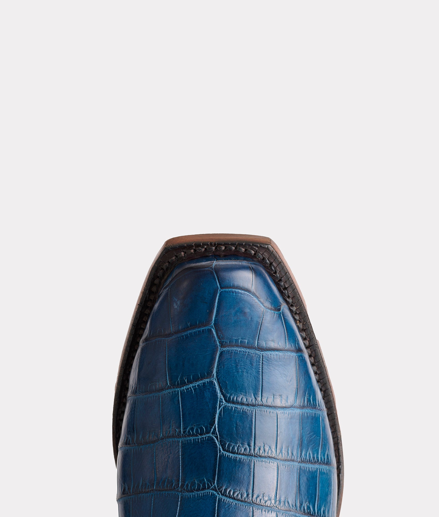 Tulip Exotic :: Navy + Wheat - Image 7