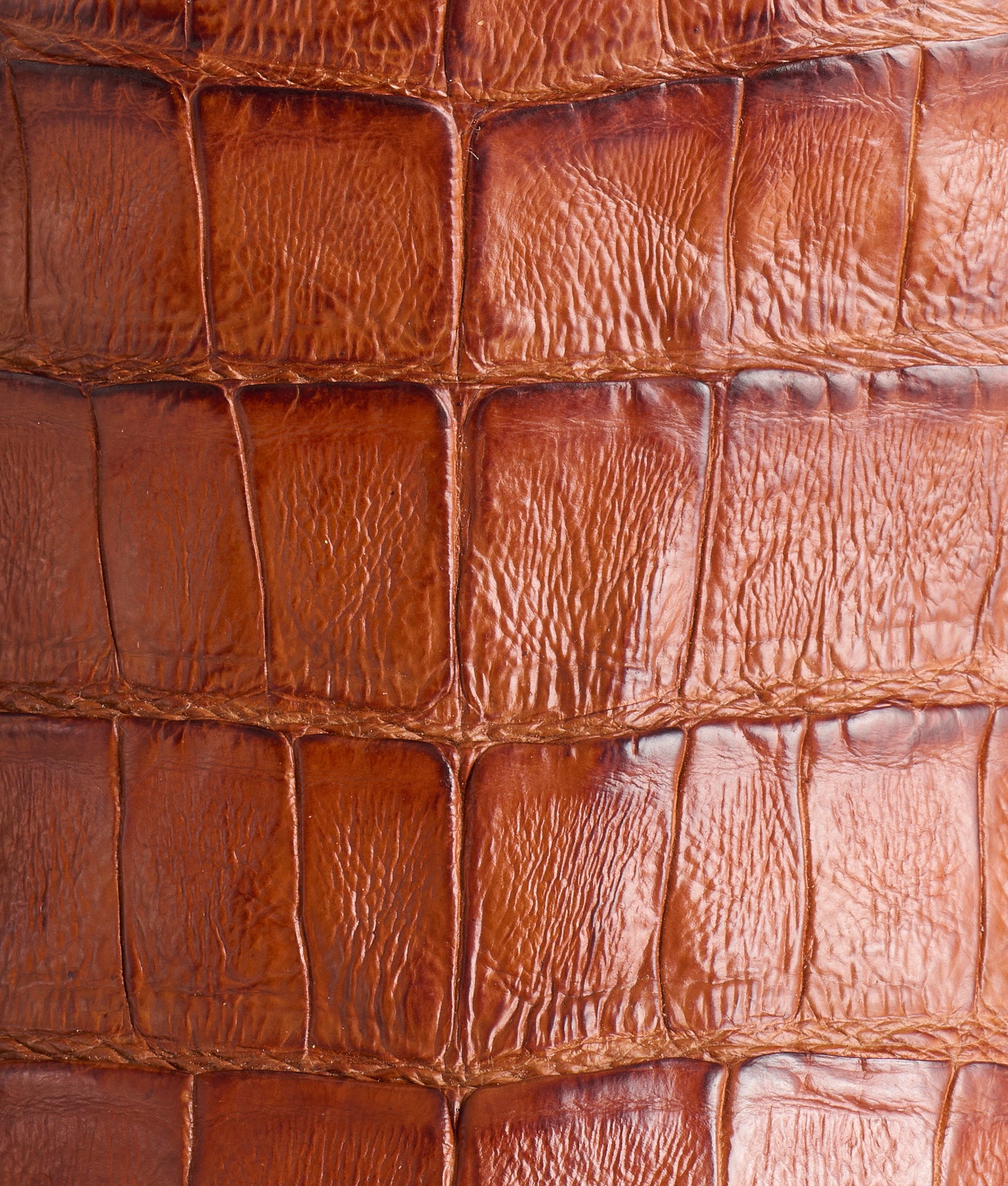 Jones :: Cognac - Image 7