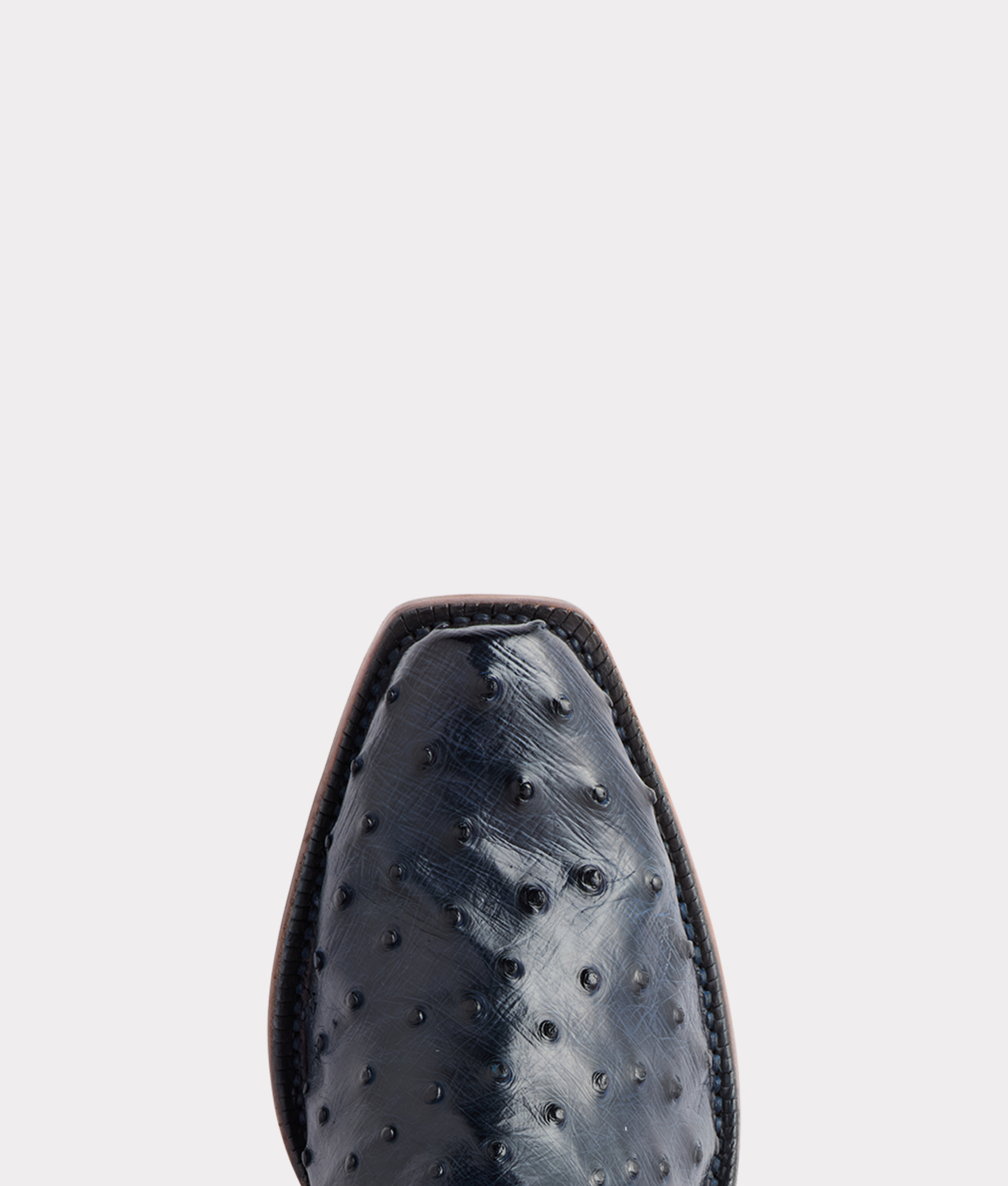 Randall :: Navy - Image 9