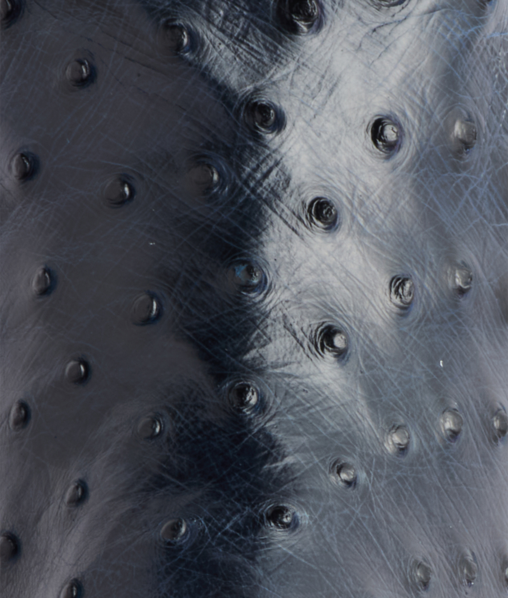 Randall :: Navy - Image 4