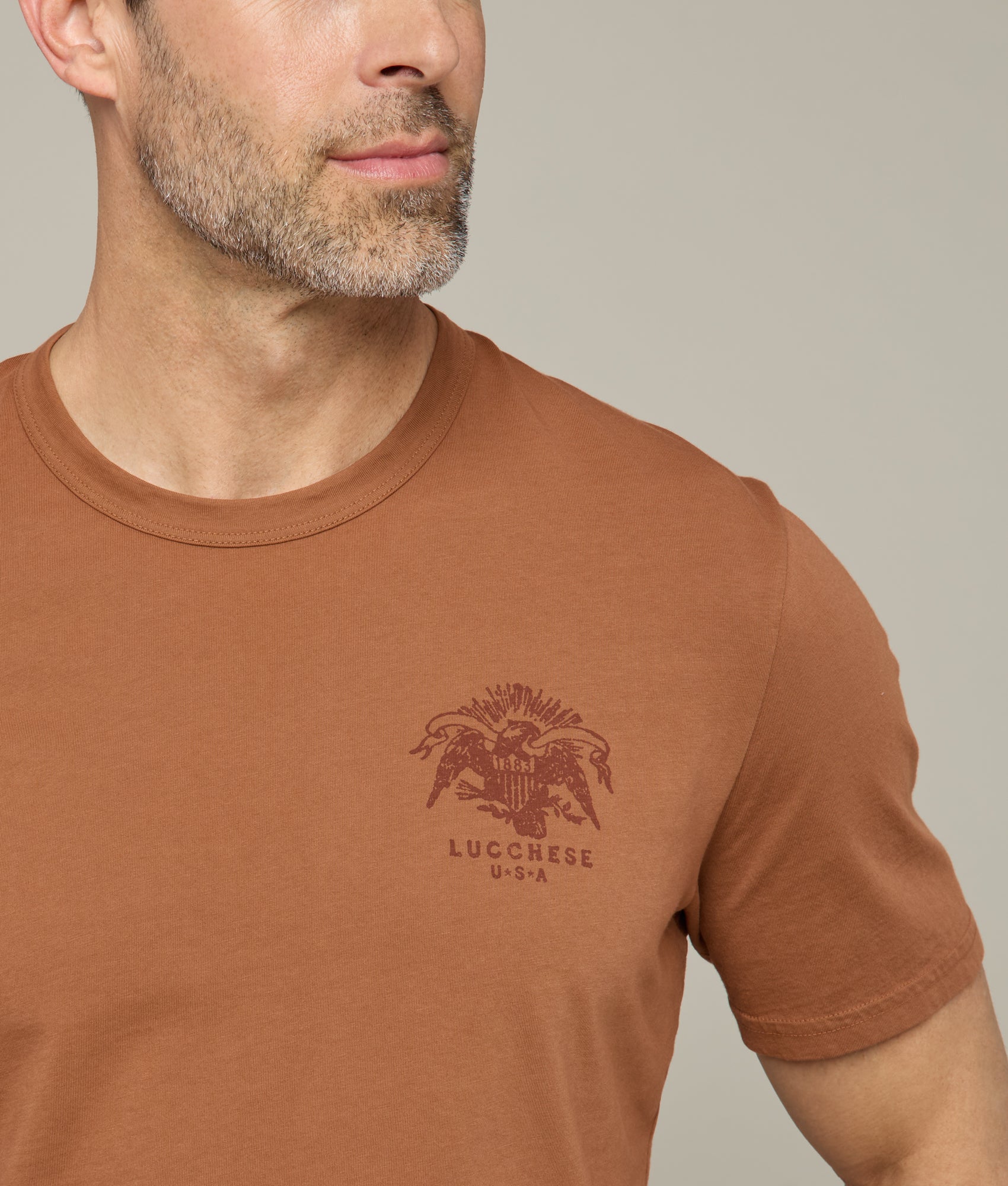 Eagle Stamp Tee :: Brown - Image 6