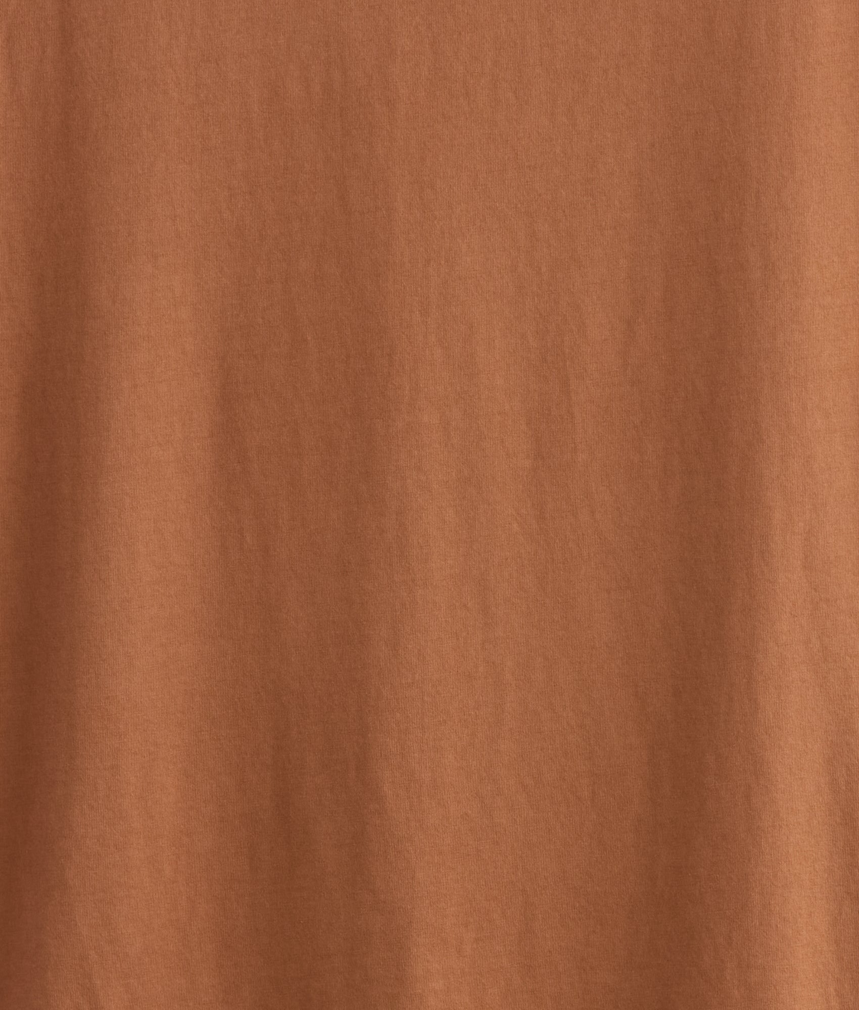 Deserted Tee :: Sienna - Image 11