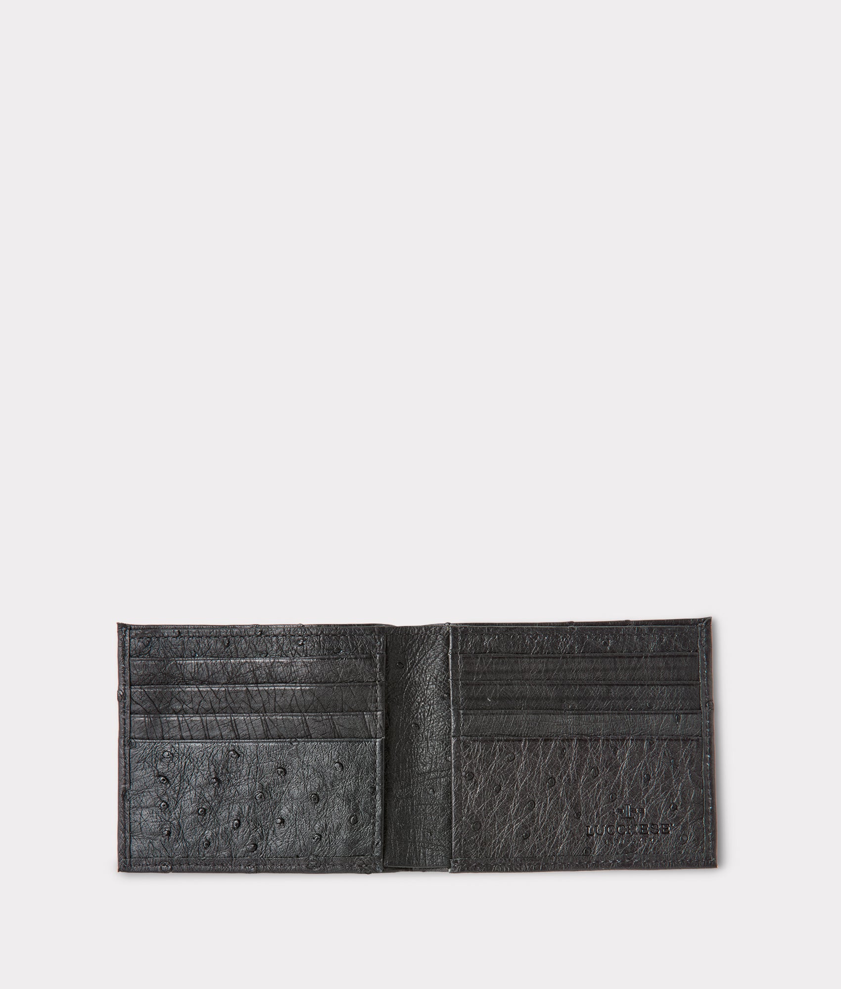 Hipster Wallet ?C Ostrich :: Black - Image 2