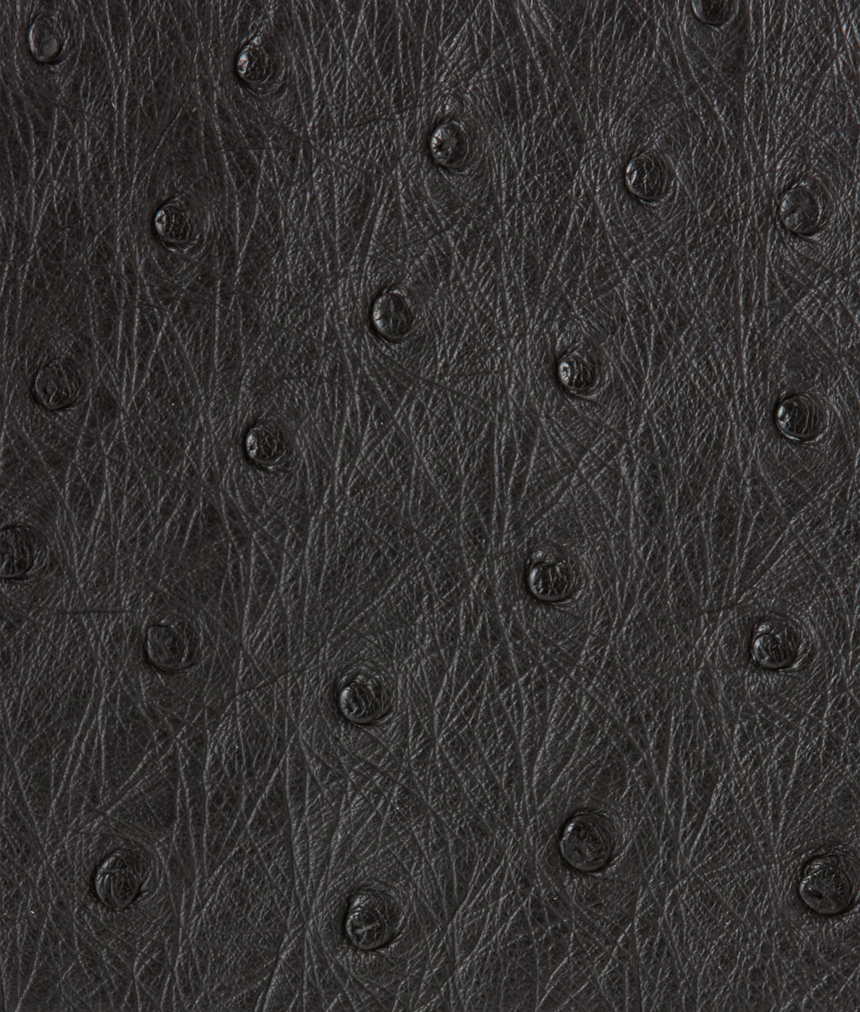 Hipster Wallet ?C Ostrich :: Black - Image 4