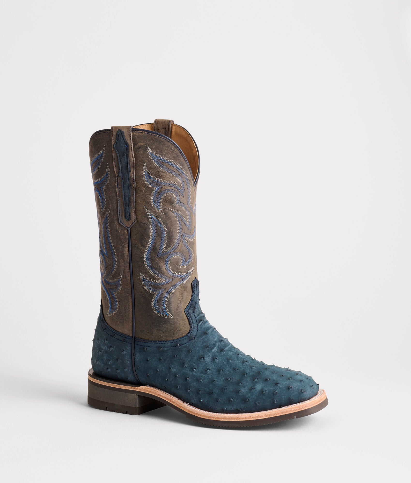 Rowdy Ostrich :: Navy - Image 3