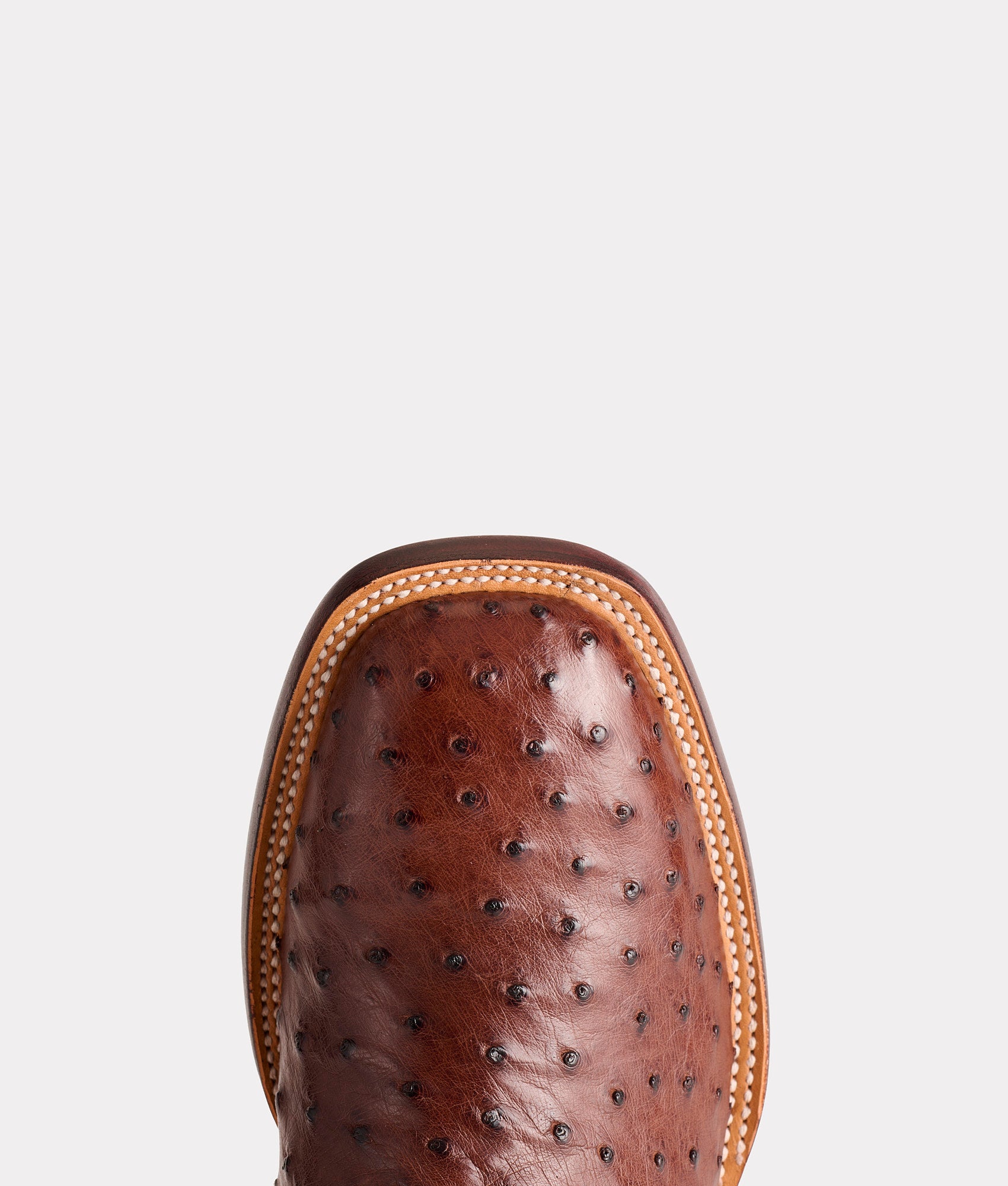 The Olsen :: Chocolate - Image 7