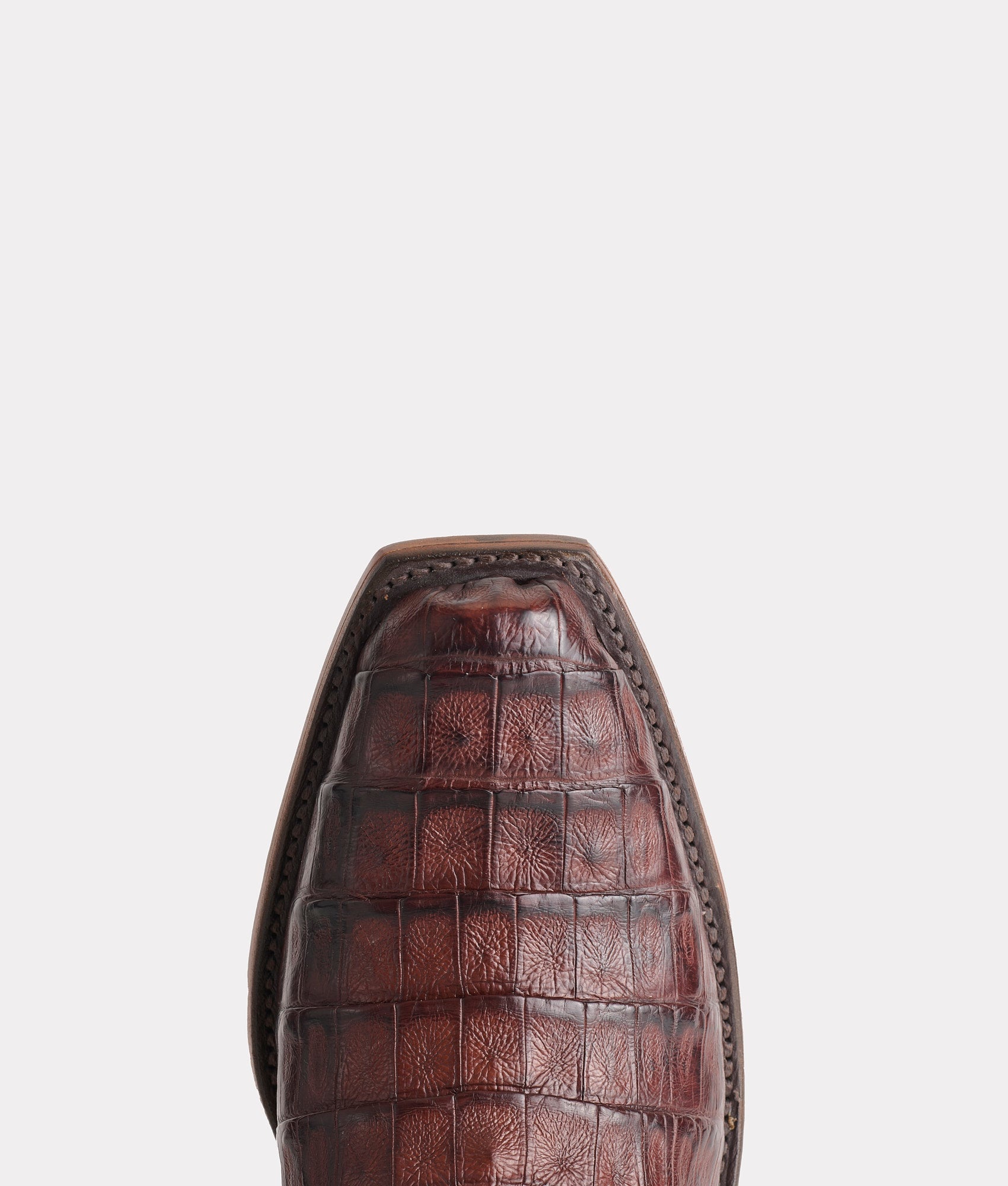 Tulipano :: Chocolate - Image 7