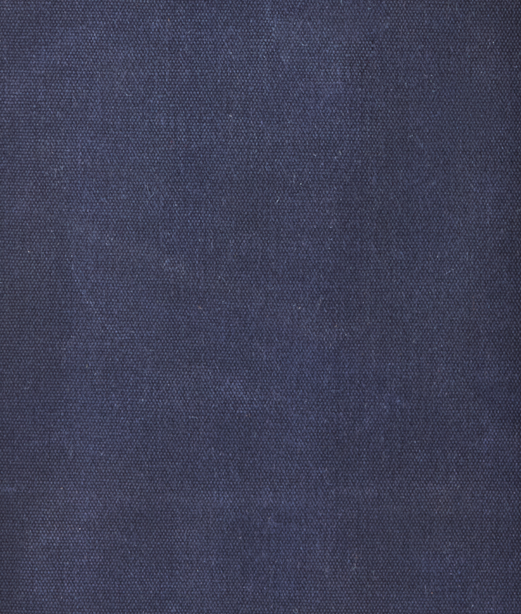 Everyday Waxed Canvas Backpack :: Navy - Image 9