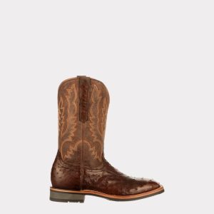 Rowdy Ostrich :: Antique Chocolate