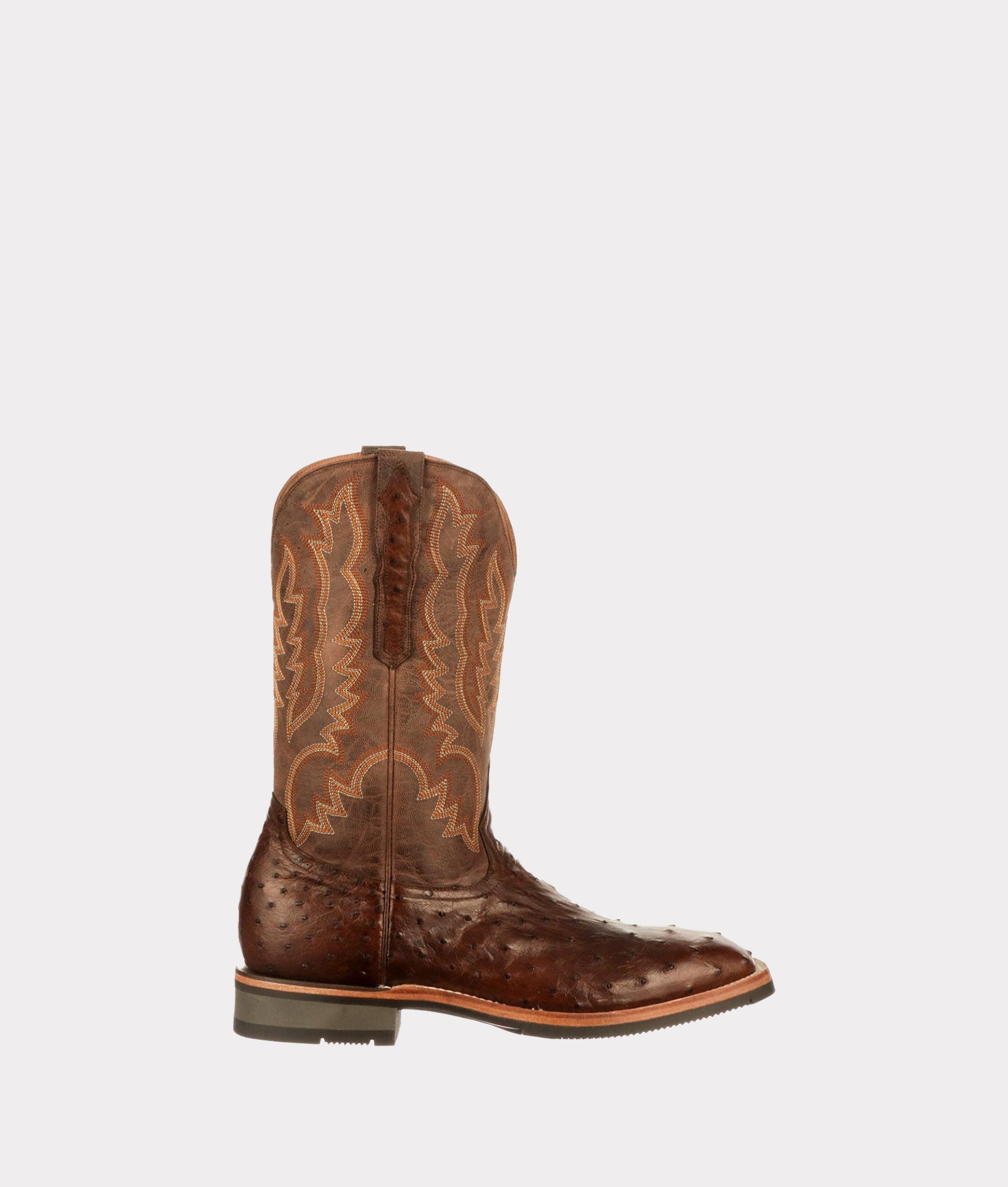 Rowdy Ostrich :: Antique Chocolate
