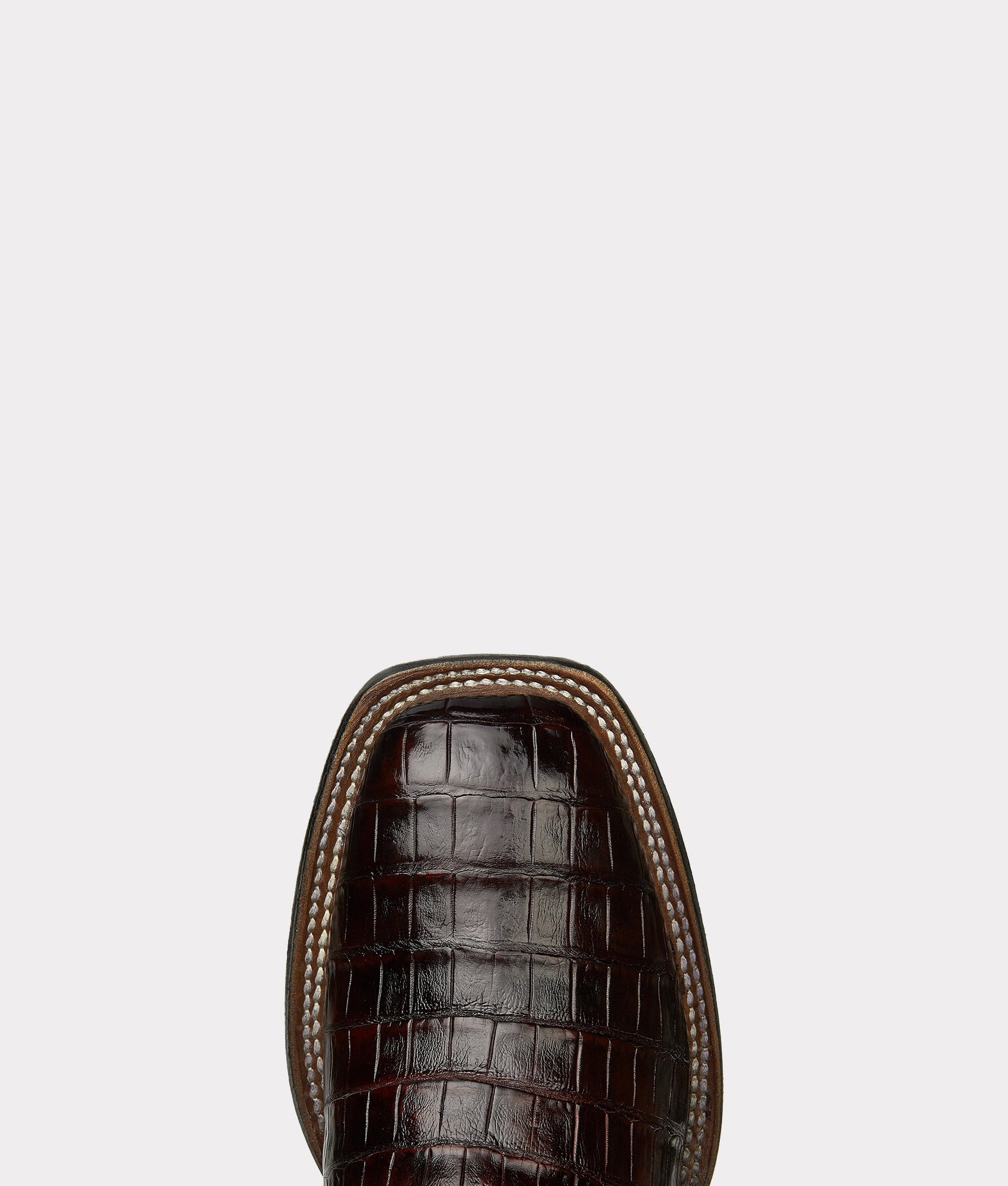 Trent :: Black Cherry - Image 4