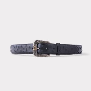 Full Quill Ostrich :: Black